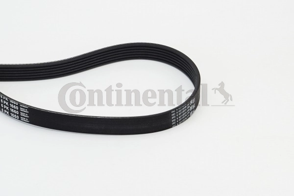 V-ribbed Belt